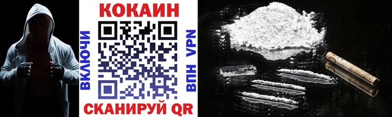 COCAIN Fish Scale  купить  цена  Всеволожск 