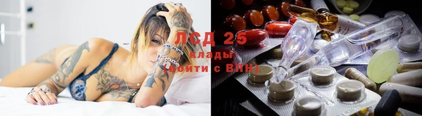 трава Алексин