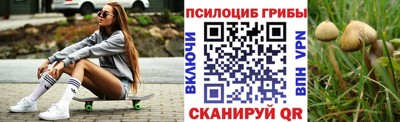 Галлюциногенные грибы мицелий Всеволожск