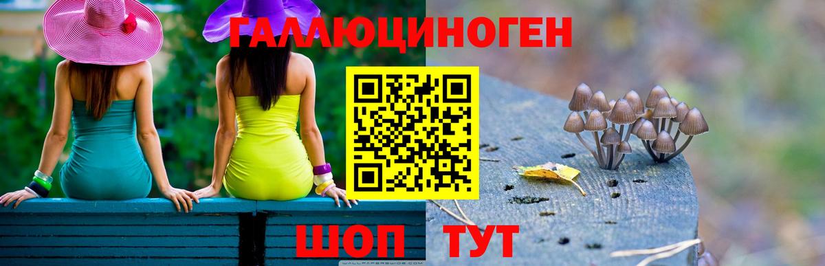 Псилоцибиновые грибы мухоморы  сколько стоит  Вход с VPN  Всеволожск  Псилоцибиновые грибы мицелий 