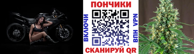 Канабис сатива  Всеволожск 